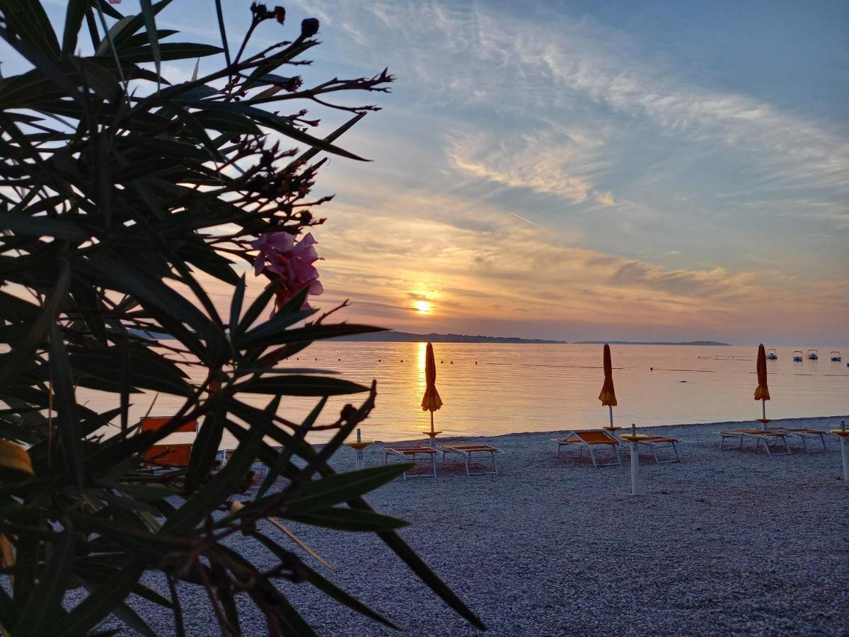 Guest house Claudia 3*