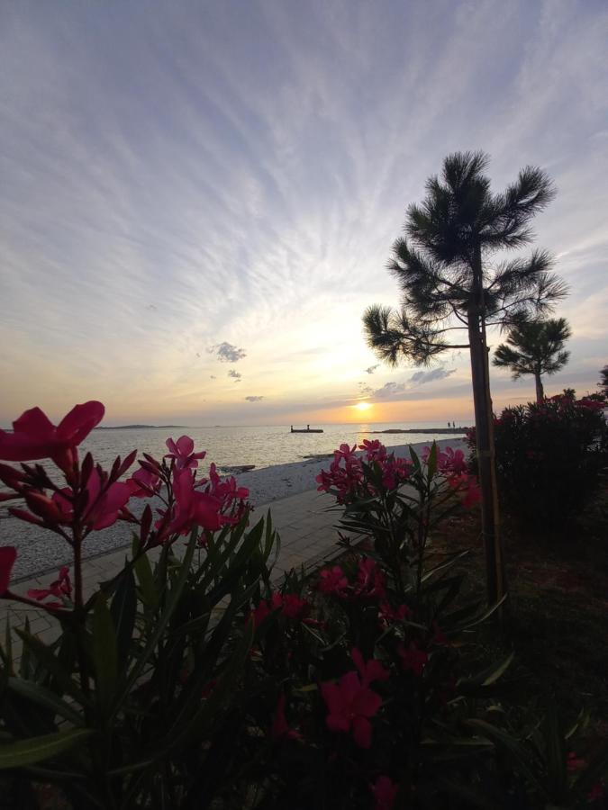 Guest house Claudia 3*